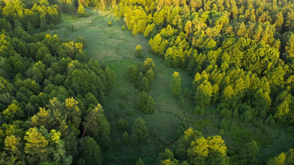 <span class="nav-link-label">Sustainability</span>